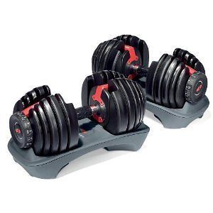 Bowflex Select Tech 2 Dumb Bells Dumbbells Adjustable Weights Fast 