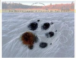 Chased by the Light by Jim Brandenburg 1998, Hardcover