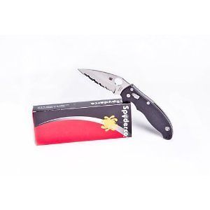 SPYDERCO KNIVES C101GS2 MANIX 2 SPYDEREDGE BLACK G 10 LOCK KNIFE USA 