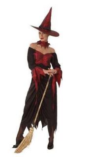 Adult Ladies Wicked Witch Oz Halloween Fancy Dress Costume Size 14 16 
