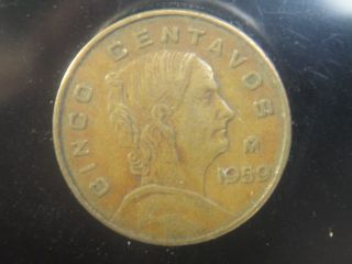 rare 1959 mexico 5 centavos cinco coin 