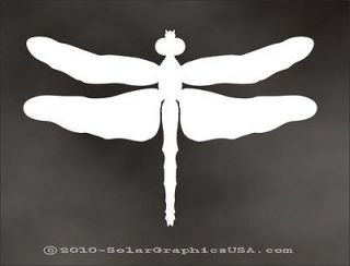 DRAGONFLY DECAL for tuner sport car girl car or truck bumper sticker