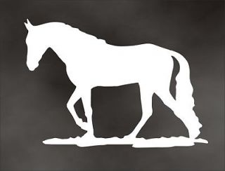 TENNESSEE WALKER walking horse decal for your tack box truck or 