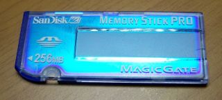 Used SanDisk Memoery Stick Pro, 256MB stated capacity. Ive tested 
