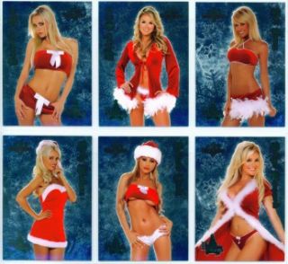 12 card holiday set 1 to 12 from benchwarmer 2005 series 1
