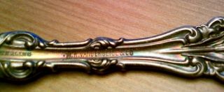 Vanderslice Co Sterling Silver 1902 Floral Design Spoon San 