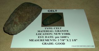 Ancient Indian Artifact Granite Celt Awesome Native American Tool