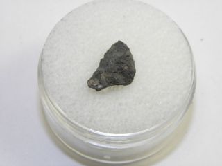 Allende CV3 Meteorite 37g Fragment from This Witnessed Fall 2 8 1969 