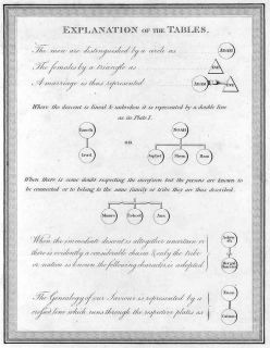 Genealogy Levi Family Tree History Israel Judaica 1817