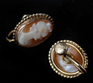 Vintage 40s Amco 12K GF Gold Filled Cameo Earrings Real Carved Shell 