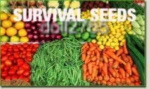 ORGANIC 4 PACK SURVIVAL SEED VEGETABLES FRUITS & FREE HERBS NEW