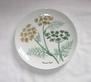 Old Vintage Horchow Japan Fennel Seed 7 5/8 Salad Plate Spice Design