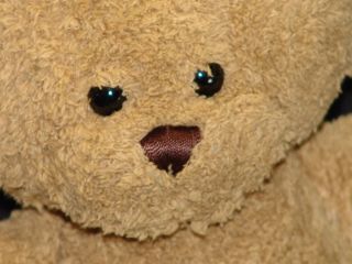   NAVY BROWN PLUSH SOFT TEDDY BEAR STUFFED ANIMAL CUTE ROUND FACE LOVEY