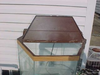 octagon fish tank aquarium 20 gallon