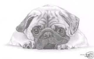 PUG dog art pencil drawing Limited Edition picture print by UK artist