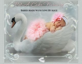   Marie Sandy Faber from Pat A Cake Nursery Sweet Asian Baby Girl