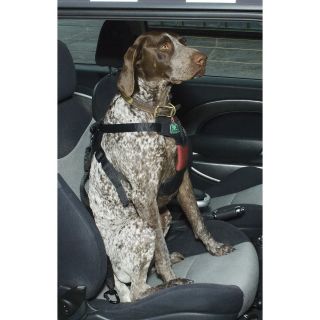   lbs Safety Harness Vehicle Car Seat Belt Pet Travel Dog Puppy