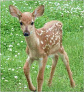 Fawn Baby Deer in Meadow Counted Cross Stitch Pattern