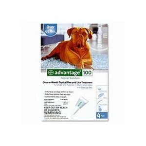 Bayer Advantage 100   Topical Flea Protection for Large Dogs 55lb & Up 