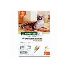 Bayer Advantage Orange 4 Month Flea Control for Cats 5 9 lbs.