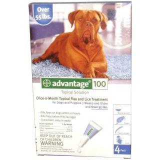 Bayer Advantage 100 for Dogs 55 lb & Up   4 Doses  FREE Confirmation 