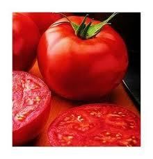 Tomato Bush Beefsteak Early Heirloom Popular Slicer 50