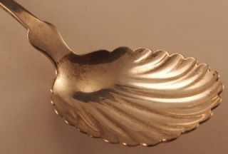   Spoon with Shell Bowl Smith and Chamberlain 1840s Salem Mass