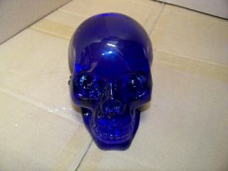 Big Blue Translucent Skull Hot Rat Street Rod 