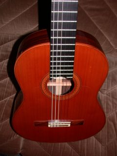 Flamenca Spanish Guitar Luthier Bernal Brand New Jacaranda Rosewood 