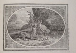 Thomas Bewick The Fables of Aesop 1st 1818 Engravings Very RARE