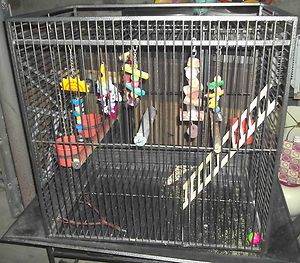 Large Bird Cage Parrot Cockatoo Cockatiel Cast Iron Cage