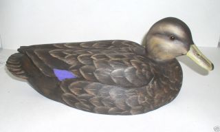 Wooden Magnum Gunning Resting Blackduck Duck Decoy New