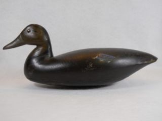 Black Duck Decoy by Capt Jesse Birdsall Barnegat New Jersey