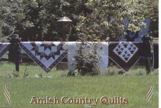 Amish Quilts Bird in Hand Pennsylvania Unused Postcd