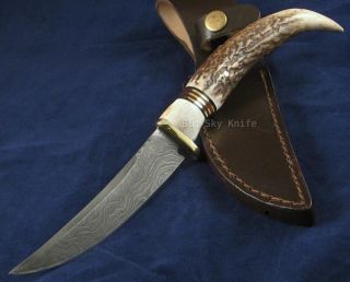 Fox N Hound Black Mountain Scout Stag Damascus Knife