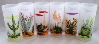   Arizona Cactus Frosted Glass Tumblers, 1950s Blakely Oil Promotion