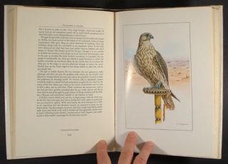 Book Traditional Arab Falconry History Equipment