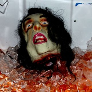 Halloween Bloody Severed Head Body Part Life Size Haunted House 