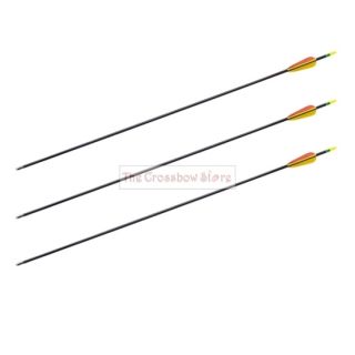   30 Archery Bow Fiberglass Arrows for Long Recurve Bows