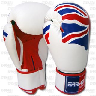 Boxing Gloves Sparring Gloves Punch Bag Training Mitts Rex Leather 