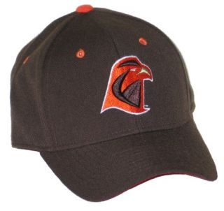 Bowling Green State University Falcons BGSU DHS Fitted Hat Cap Size 7 