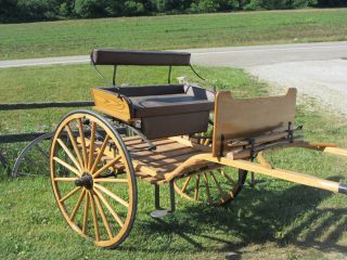  Horse Drawn Carriage Buggy Cart Wagon