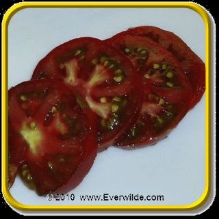 Brandywine Black Jumbo Heirloom Tomato Seed Packet 50