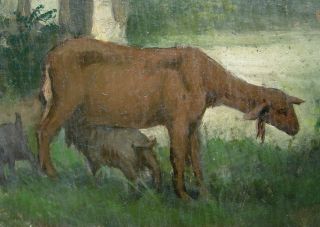 Fine Antique Oil Painting Belgian Forest Sheep Ewes c1900 on Wood 