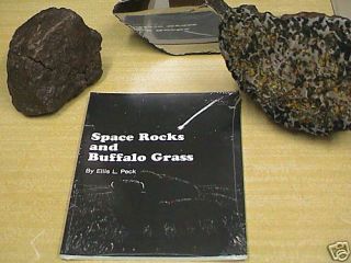 Brenham Pallasite Meteorite Book Spacerocksbuffalograss