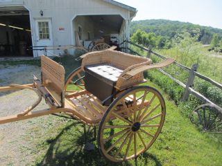 Horse Drawn Cart Carriage Buggy Wagon
