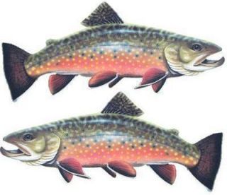 BROOK TROUT 2 fish decals/stickers 6.5 x 2.75