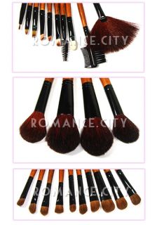 Makeup Star 120 Color Eyeshadow 24 Pro Brushes 258