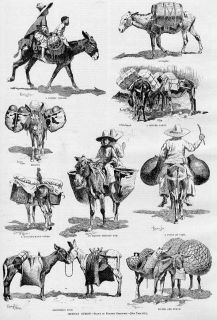 Mexican Burros Frederic Remington Donkey Mexico Print