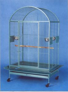 Large Bird Cage Parrot Cages Macaw Dometop 36x26X65 Green Vein 